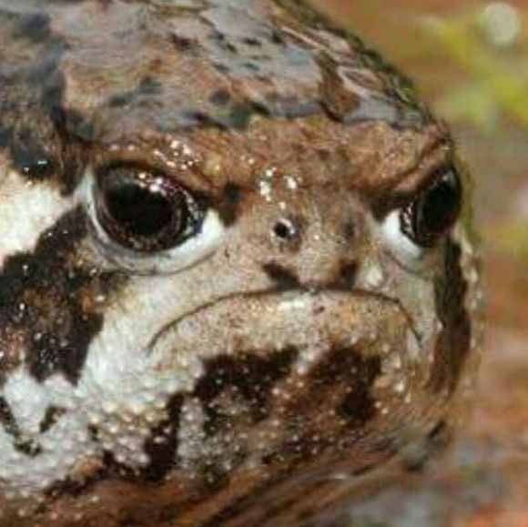 geocachelinda